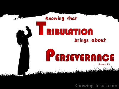 Romans 5:3 Exult In Suffering Which Brings Perseverance (red)